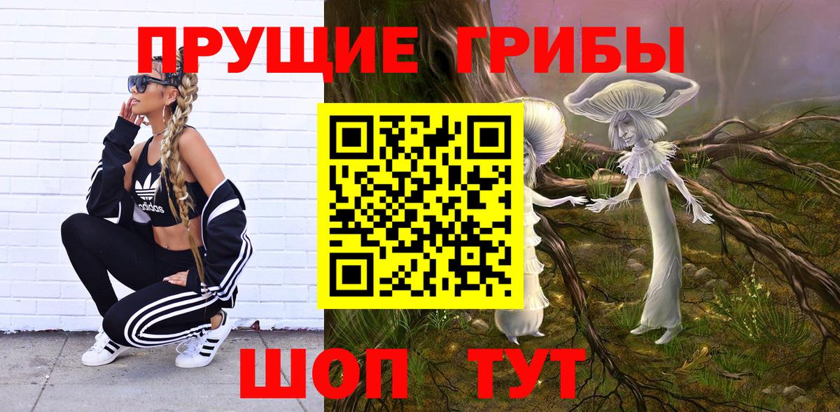 закладки  Псилоцибиновые грибы мицелий  Серов  Вход с VPN  Псилоцибиновые грибы Psilocybe 