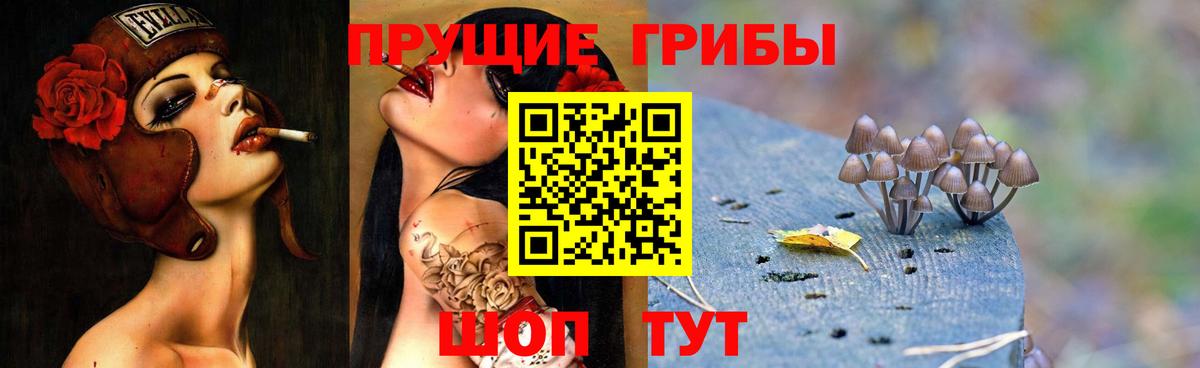 Галлюциногенные грибы Magic Shrooms Серов